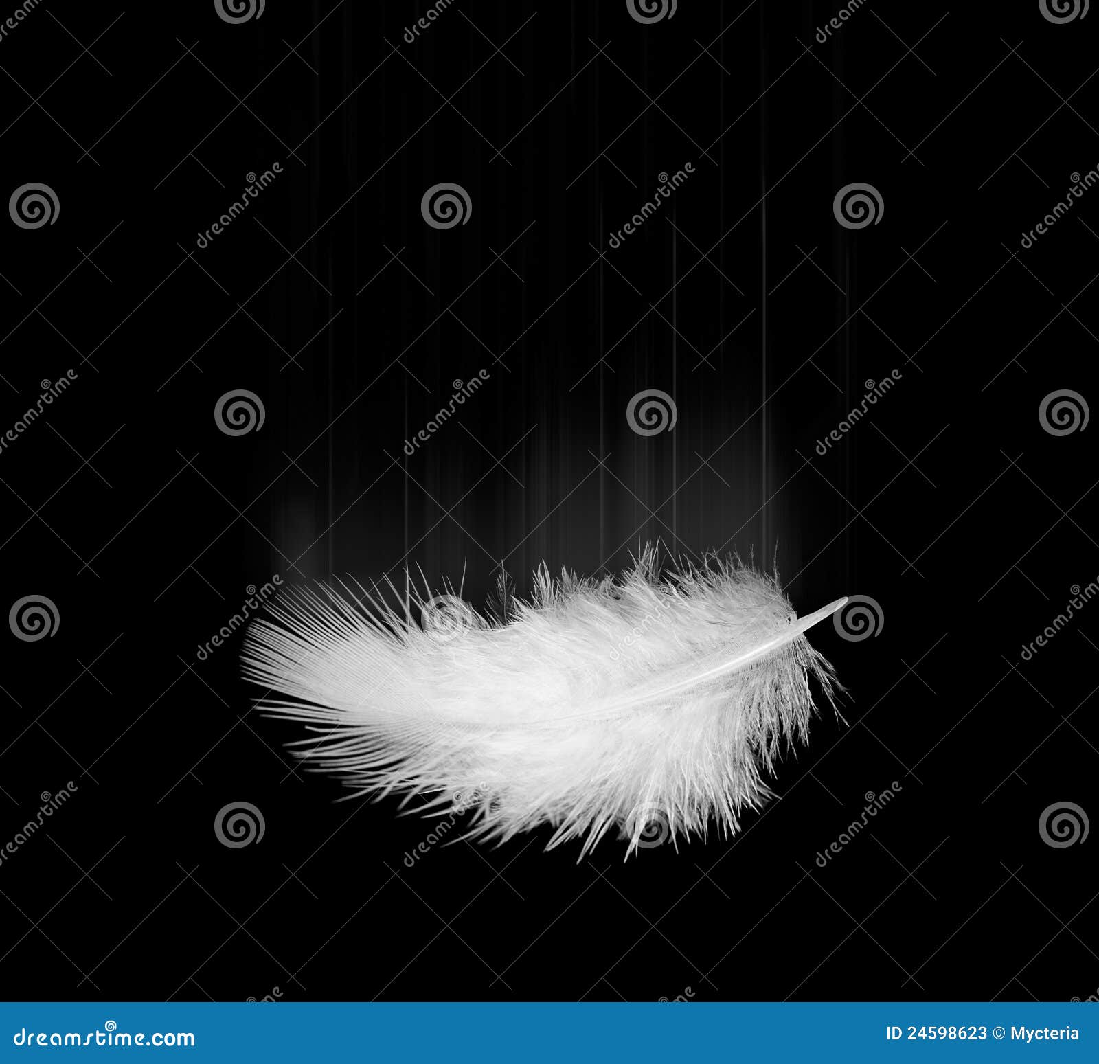 White Feather Stock Photos, Images and Backgrounds for Free Download