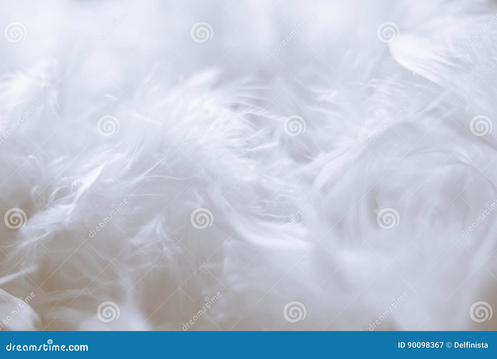 white feathers background - stock photos