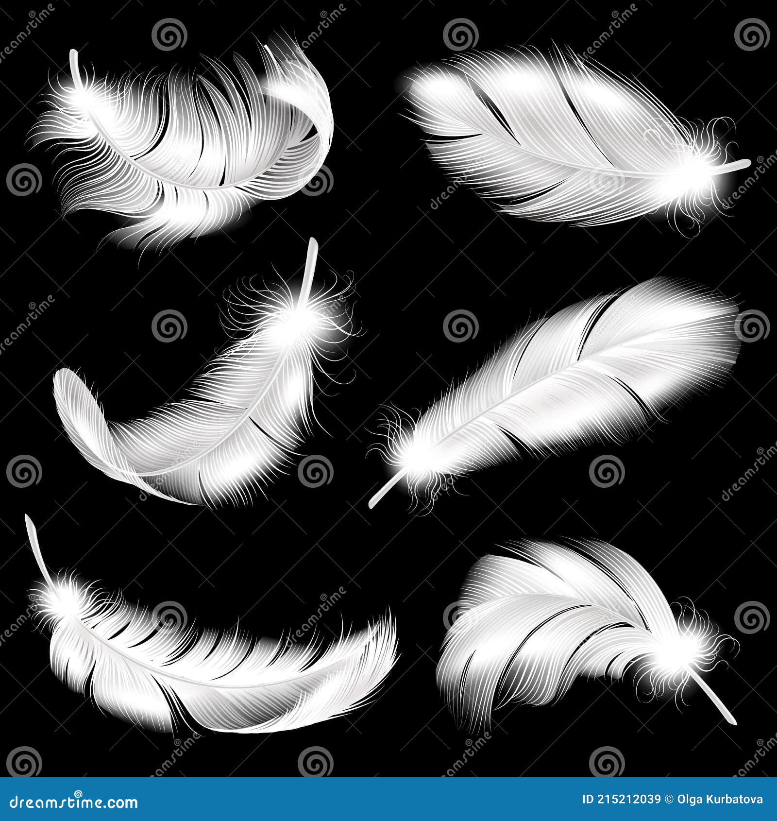 White feathers background. Falling flying fluffy swan, dove or angel w By  YummyBuum