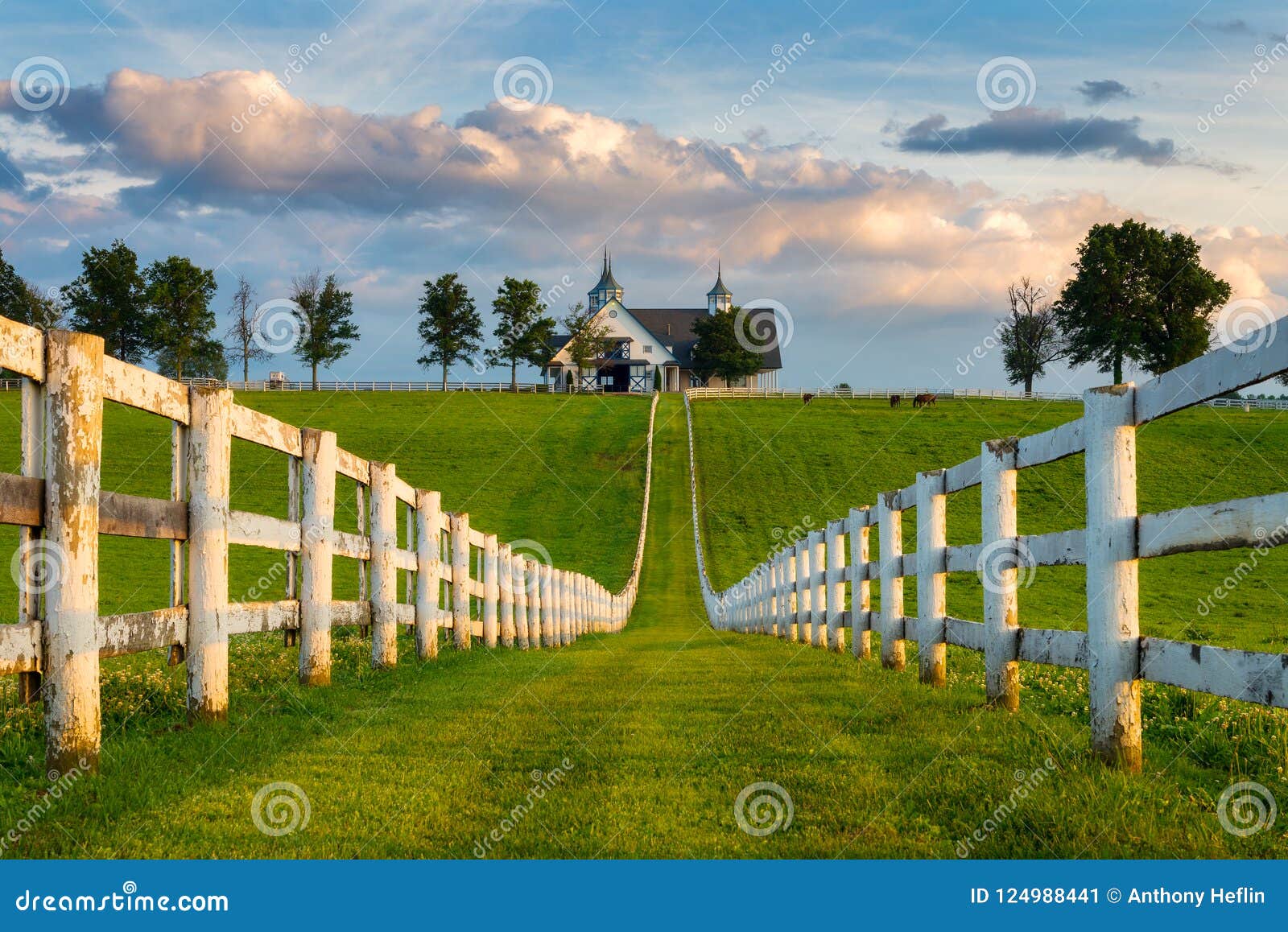 white fence row and barn, kentucky backroads