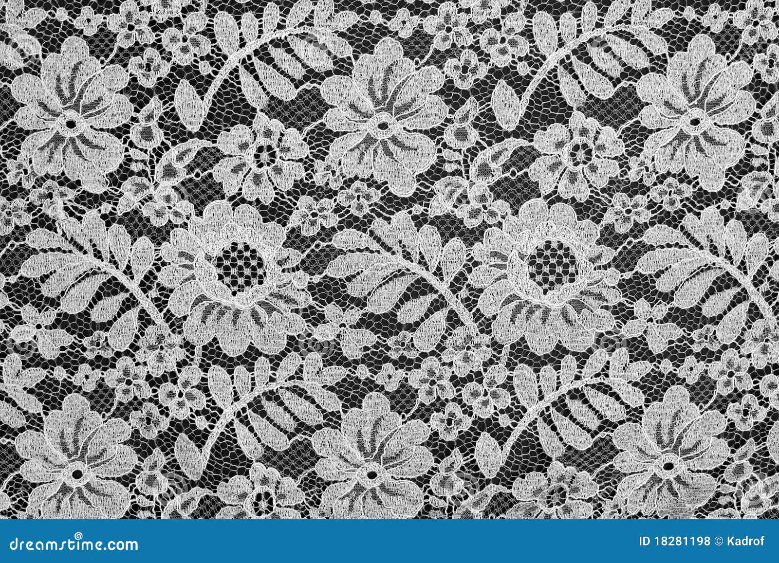 White Fine Lace Floral Texture Stock Photo Image of fabric, black