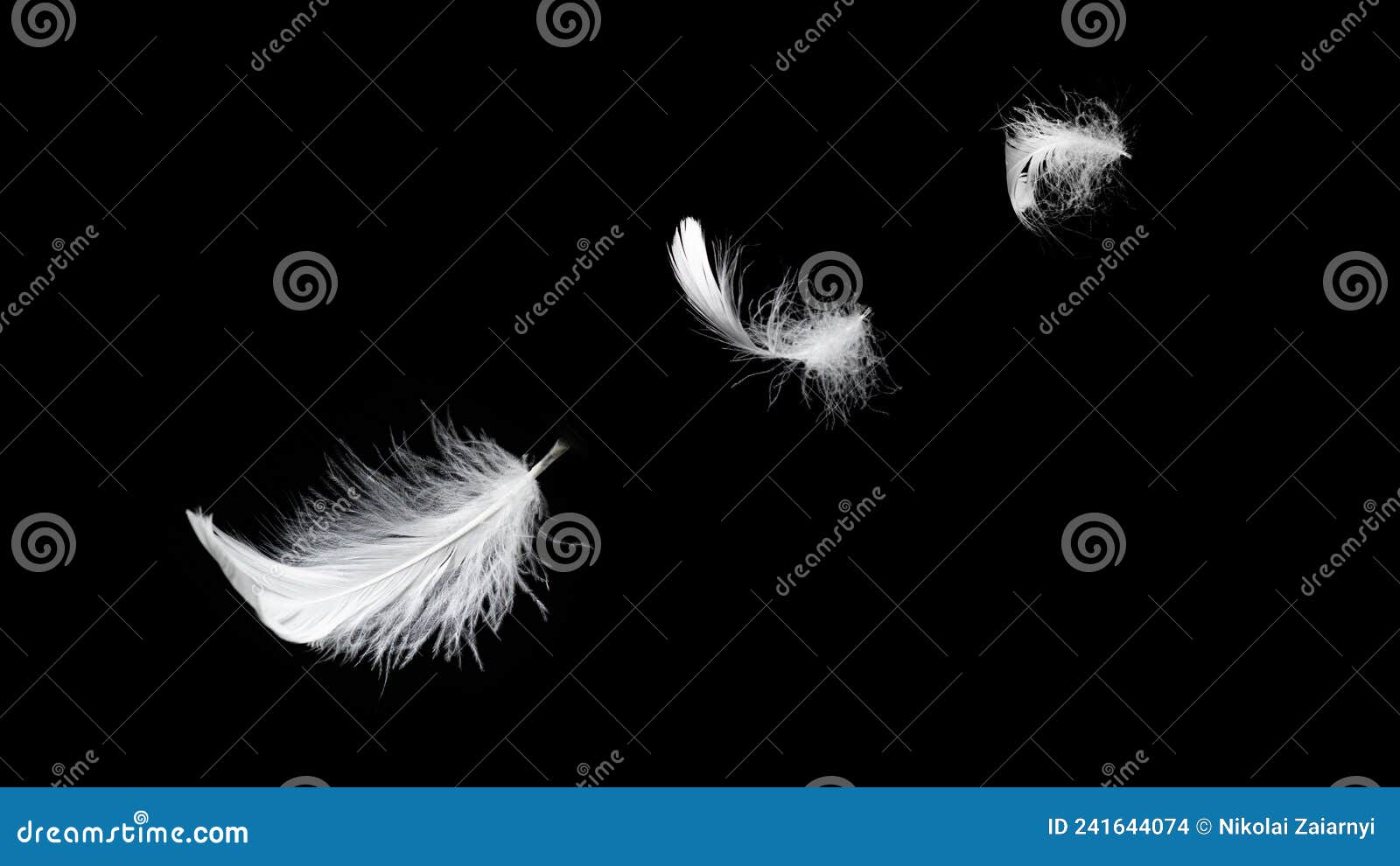 White Feather Isolated on a Black Background Stock Photo Image of shadow, isolated 241644074