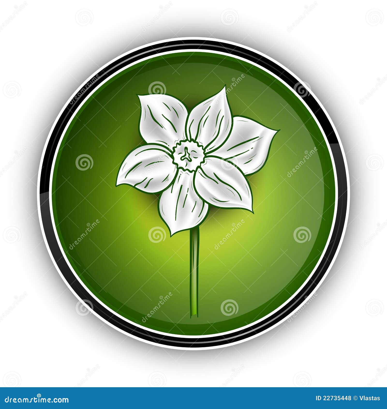 White flower stock vector. Illustration of banner, contour - 22735448