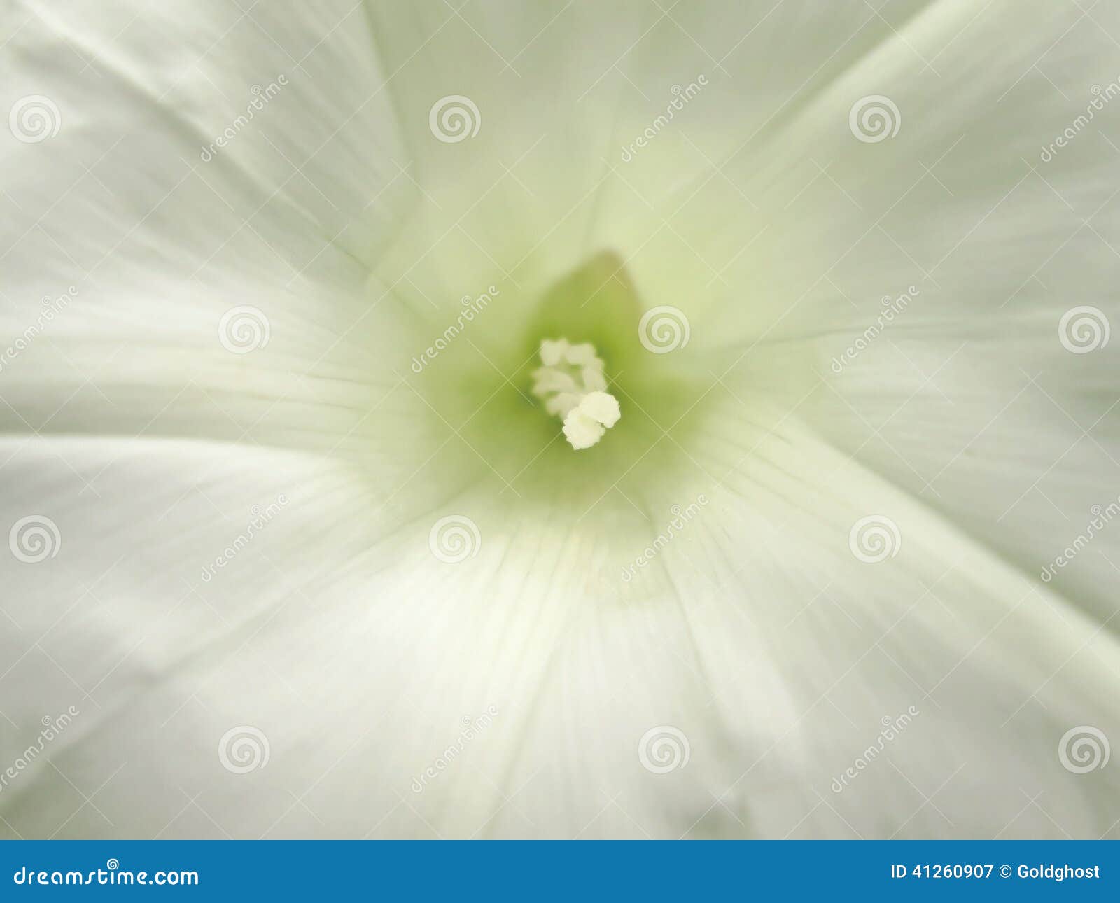 54,188 Simple Flower Background Stock Photos - Free & Royalty-Free Stock  Photos from Dreamstime