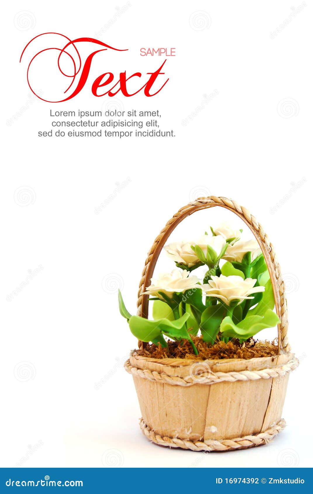 White Flower in Basket with Copyspace Area Isolate Stock Photo Image