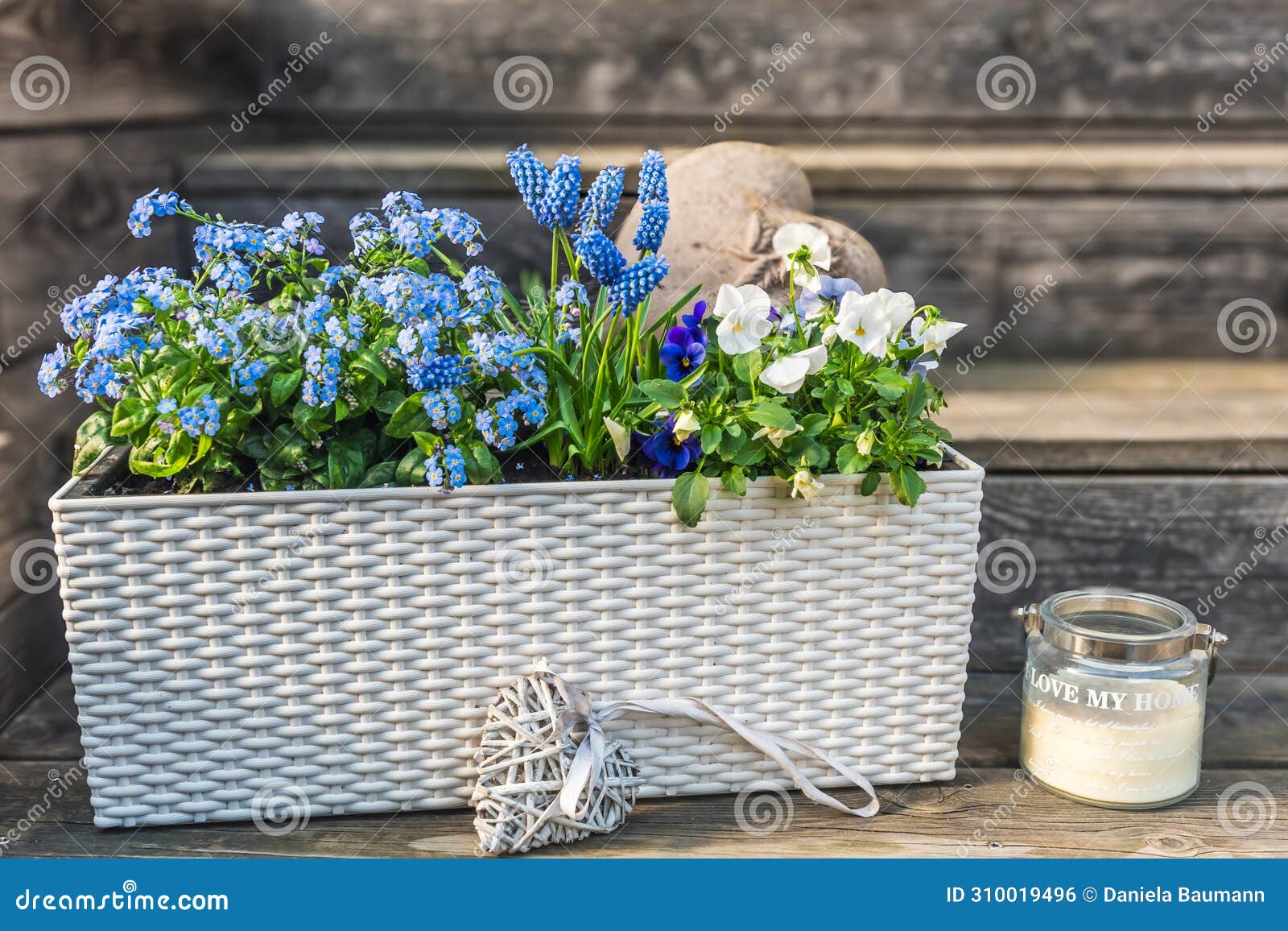 white flower box with blue forgetmenots, mini hyacinths and pansies on wooden background