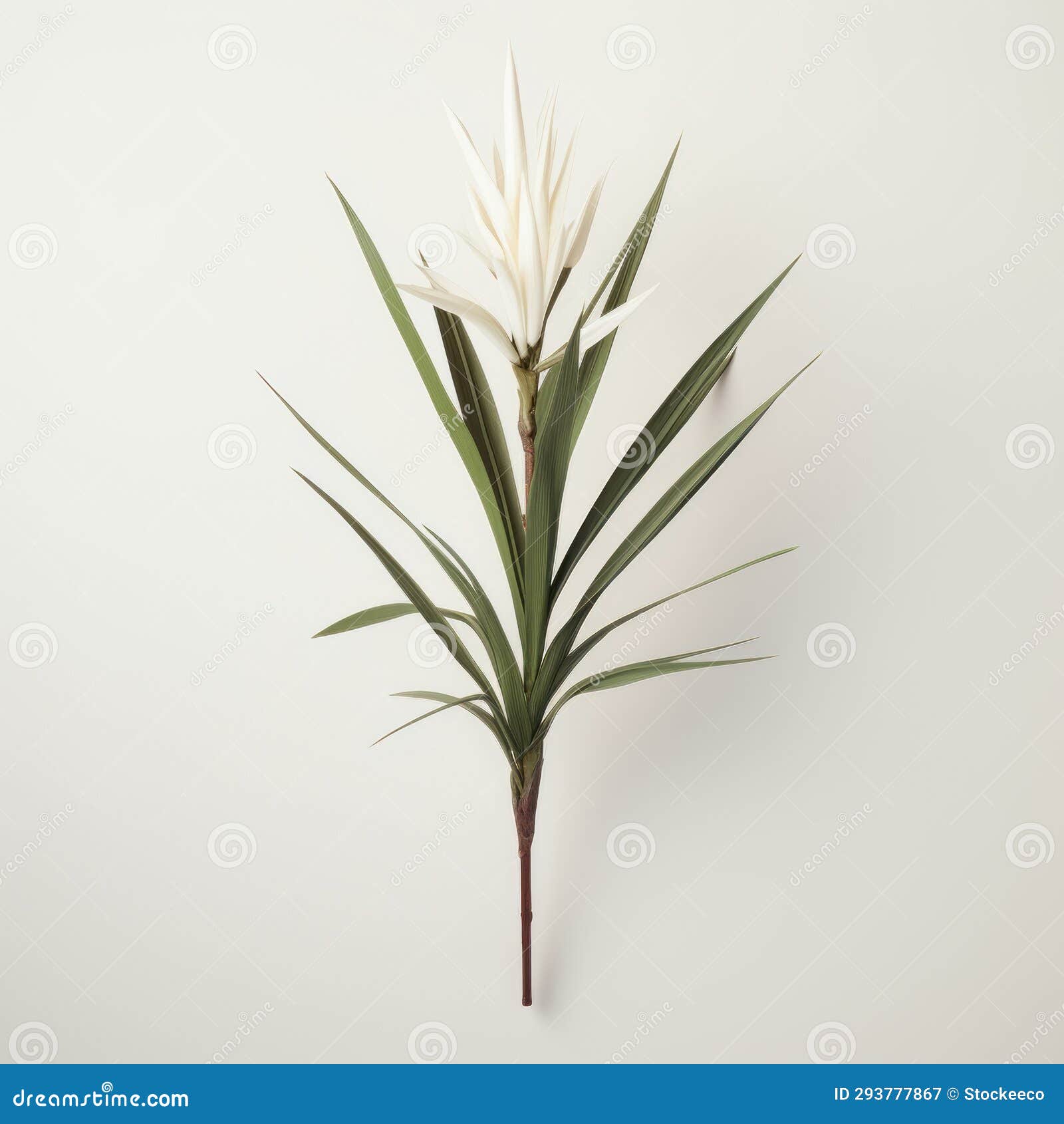 white flower and leaf on white background: ingrid baars style with ic props