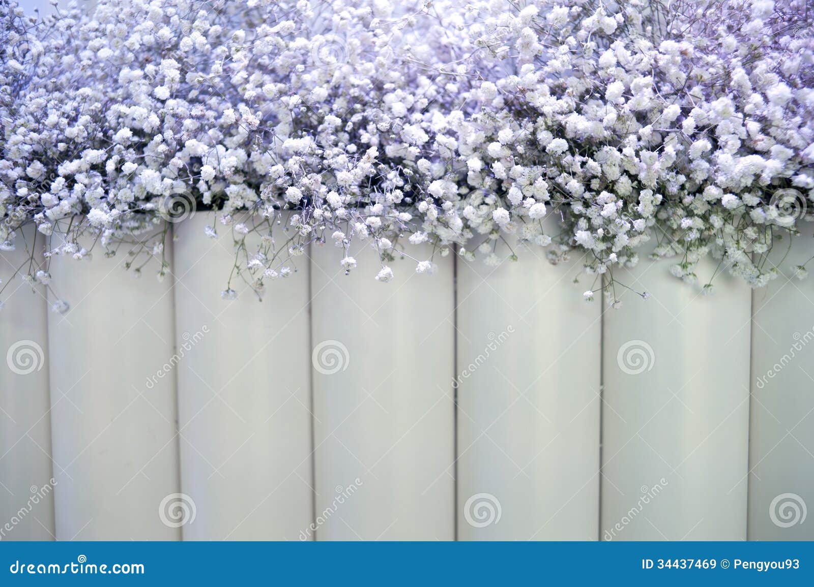White flowers backdrop stock image. Image of flowers 34437469