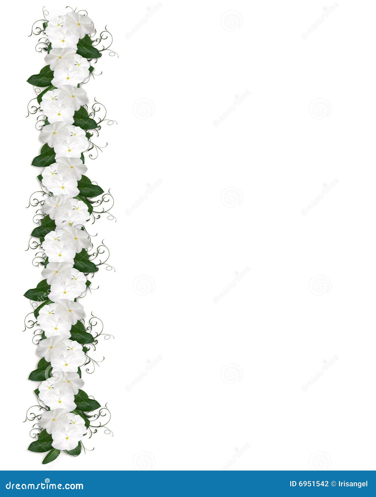 White Flowers Border stock illustration. Illustration of floral - 6951542