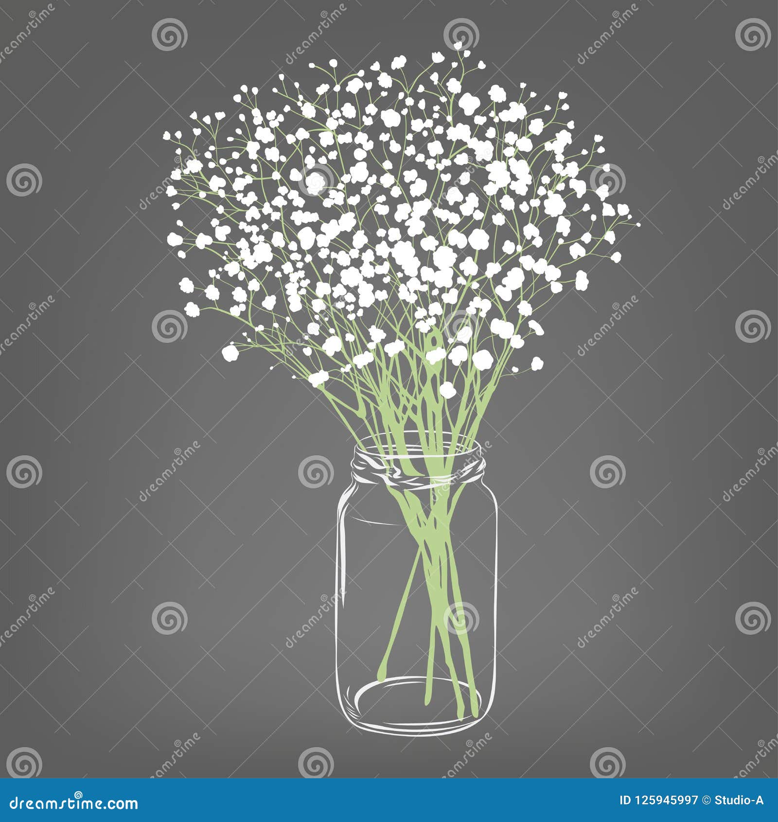 white flowers bouquet. gypsophila flowers.