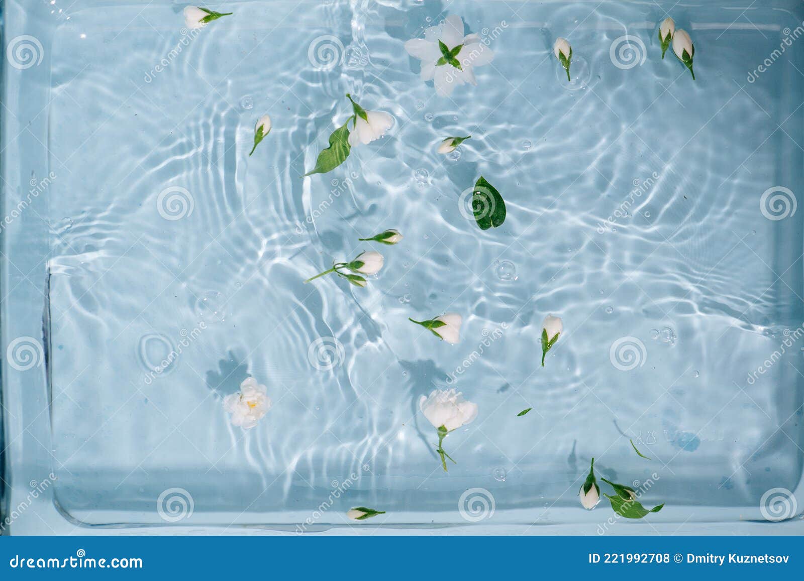 white flowers and buds floating on water surface in a light blue container.