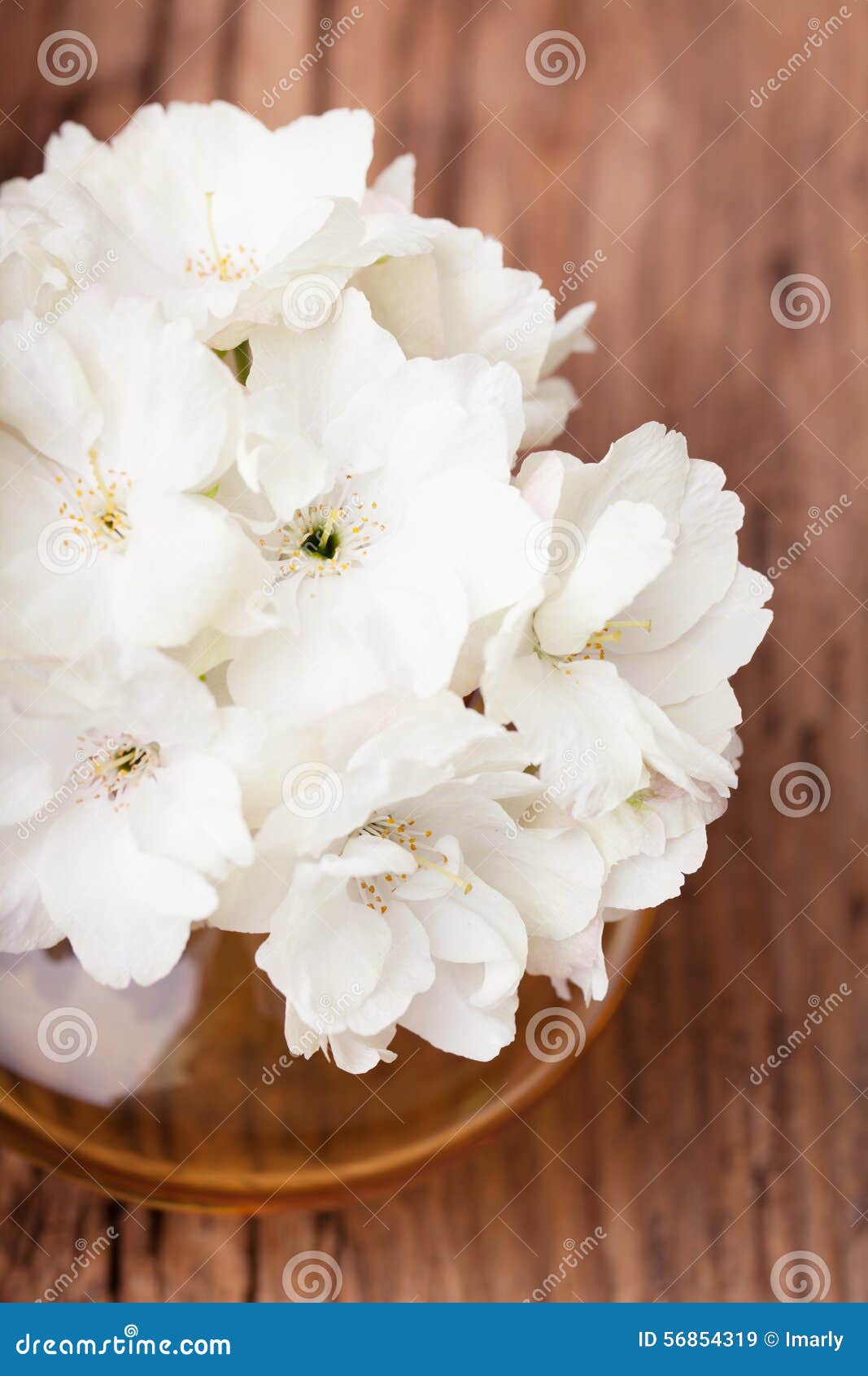 White Flowers in a Glass Vase Stock Image Image of season, background