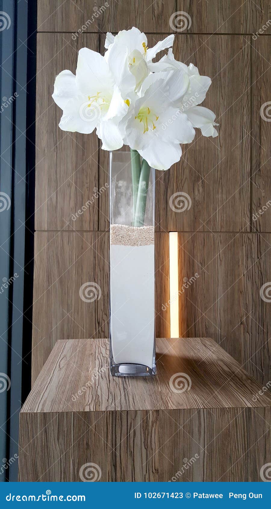 White flowers in glass stock image. Image of architecture 102671423