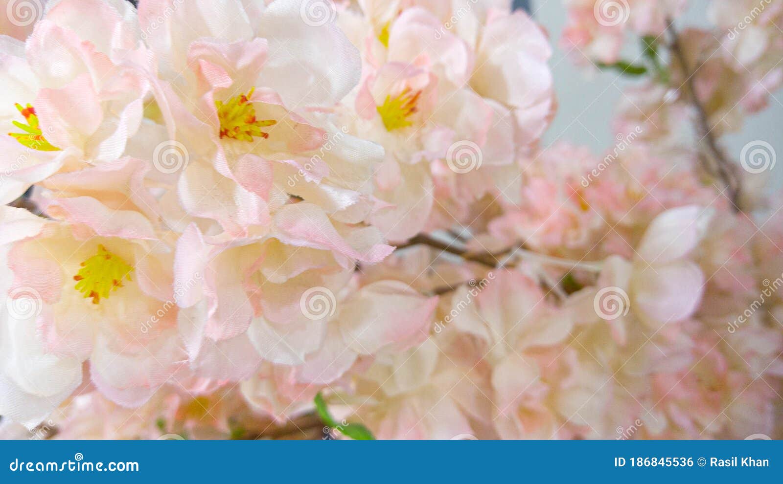 6,567 Wallpaper Rolls Stock Photos - Free & Royalty-Free Stock Photos from  Dreamstime