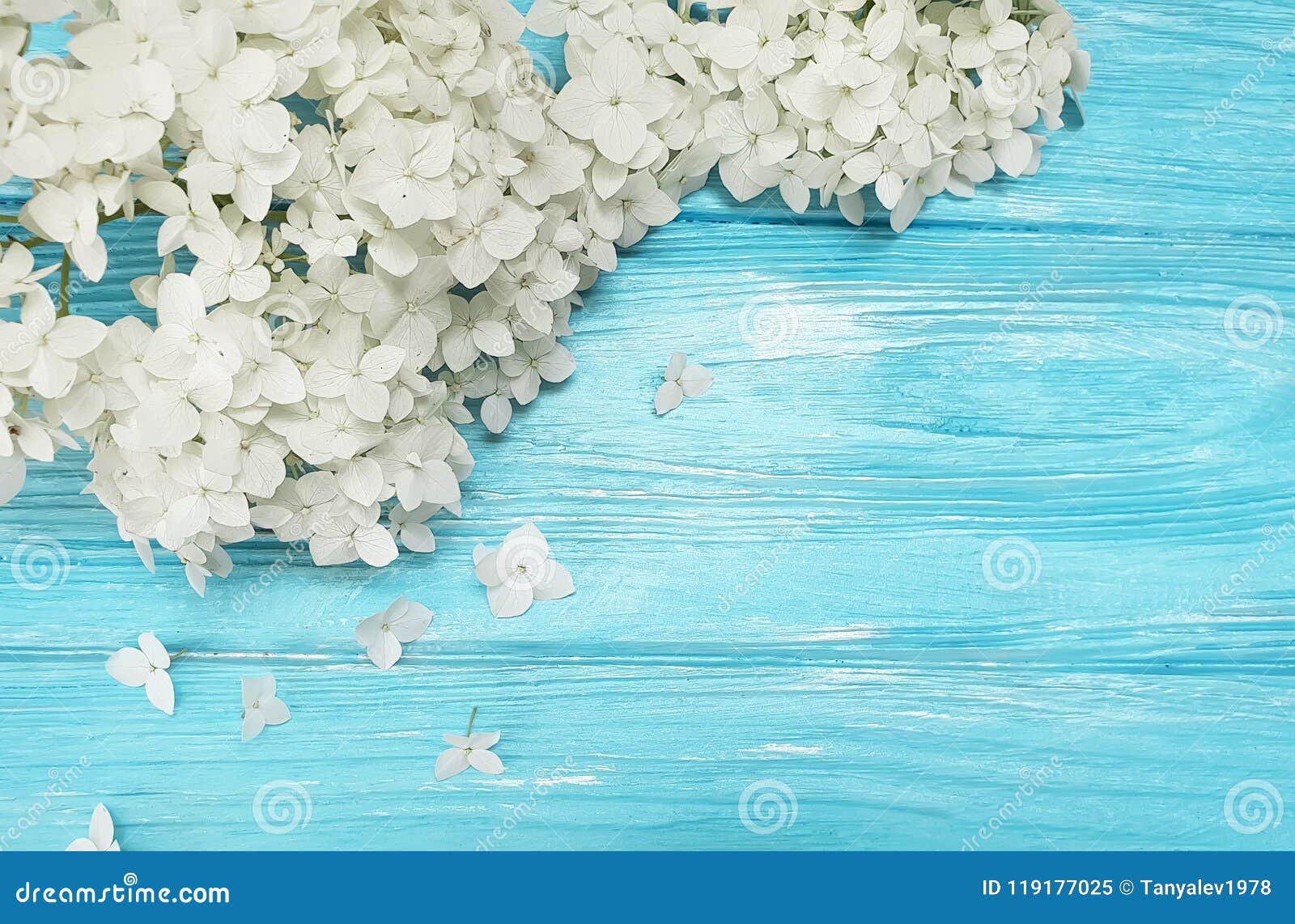 white flowers season vintage spring greeting template petal spring template