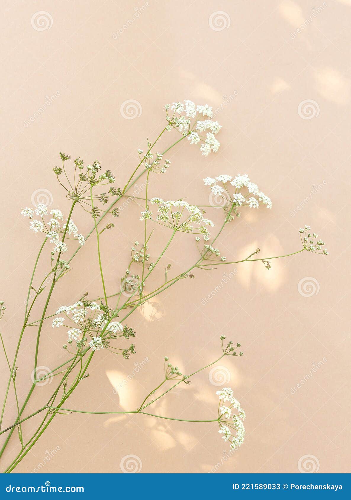 Premium Photo  Wallpaper with flowers on a beige background