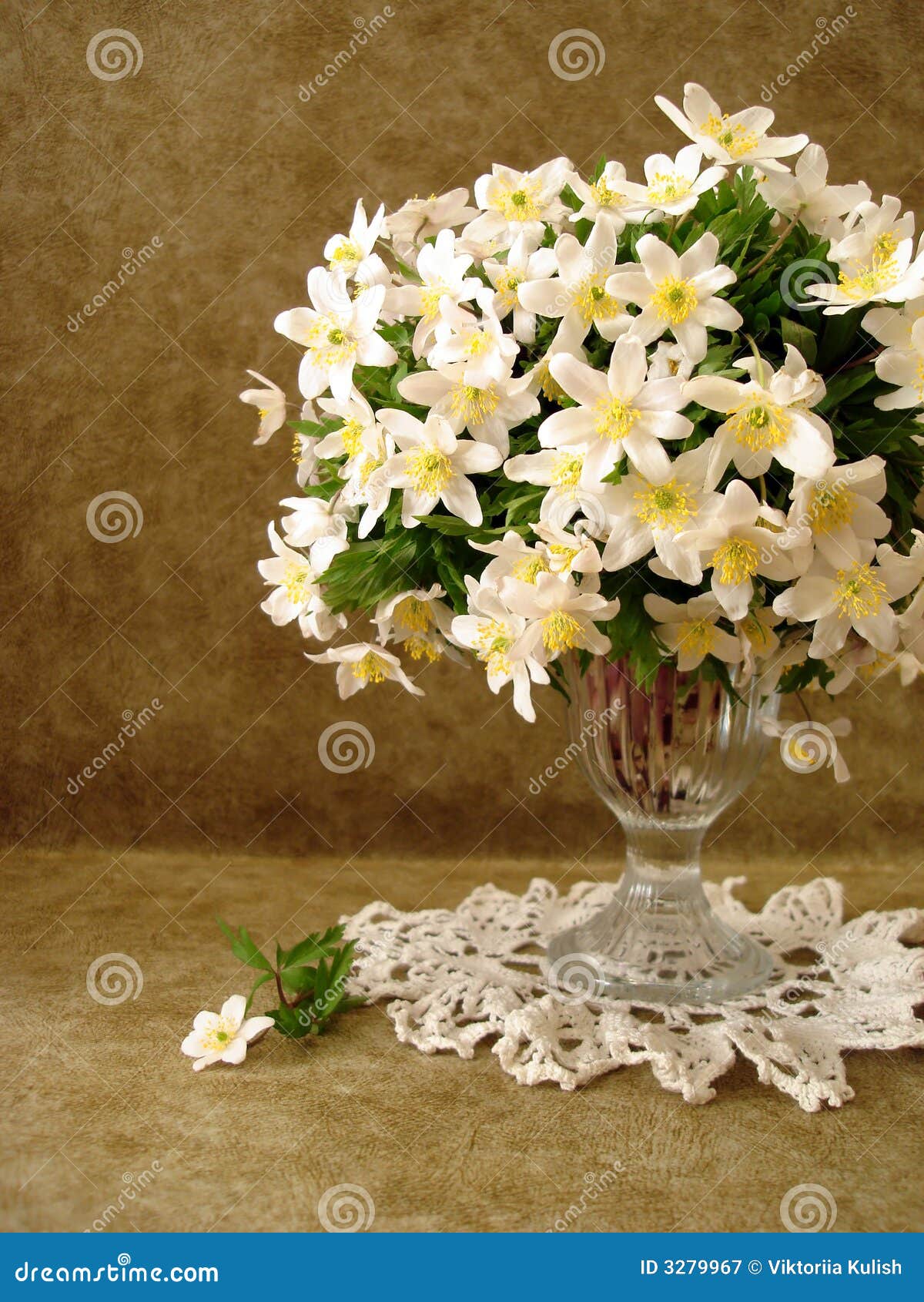 White flowers in vase stock image. Image of horticulture 3279967