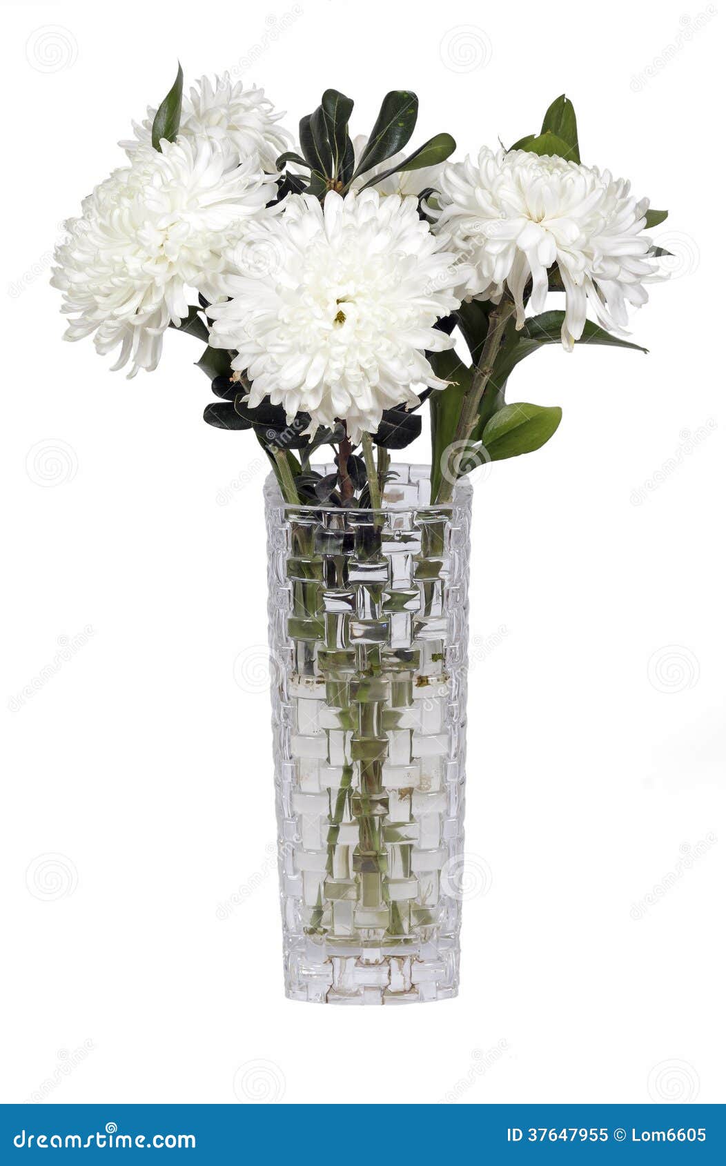 White flowers in a vase stock image. Image of nature 37647955