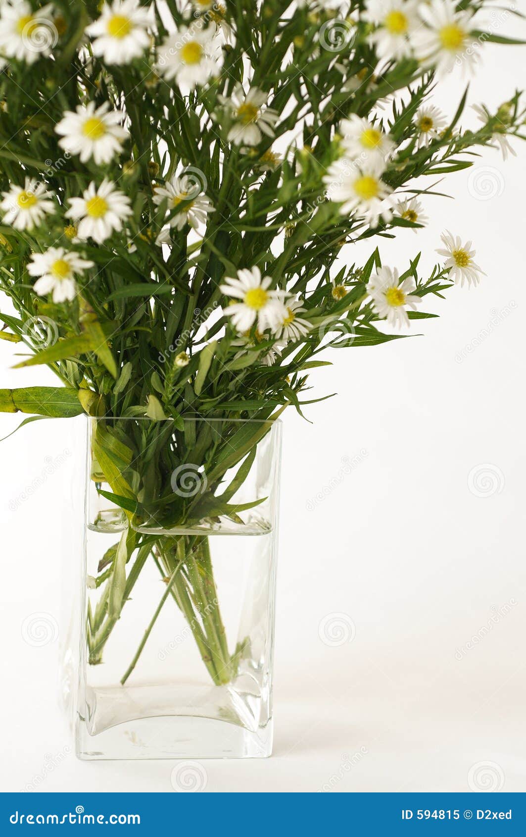 White flowers in a vase stock image. Image of nature, bouquet 594815