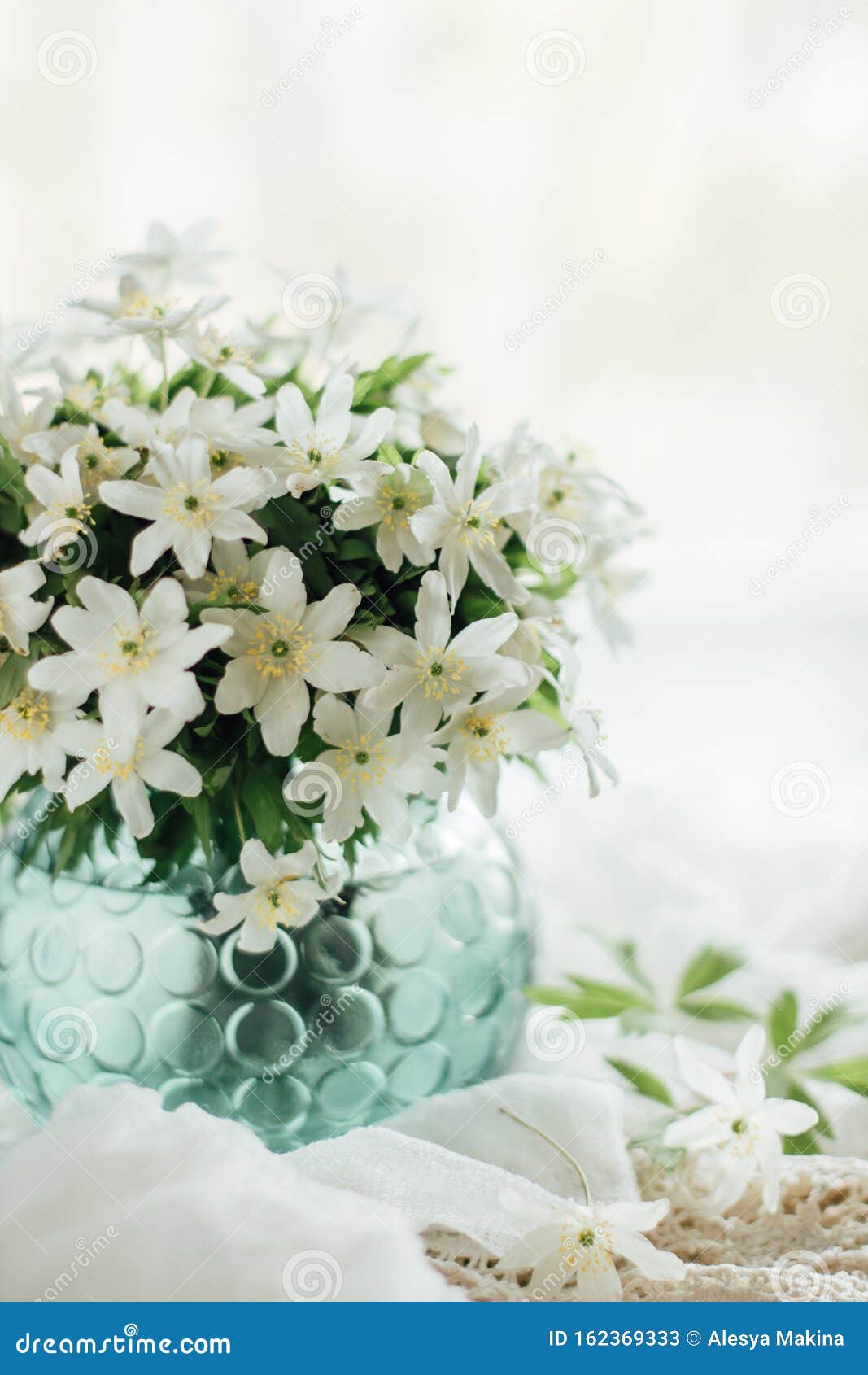 White Flowers in a Vase on a White Background Stock Image Image of