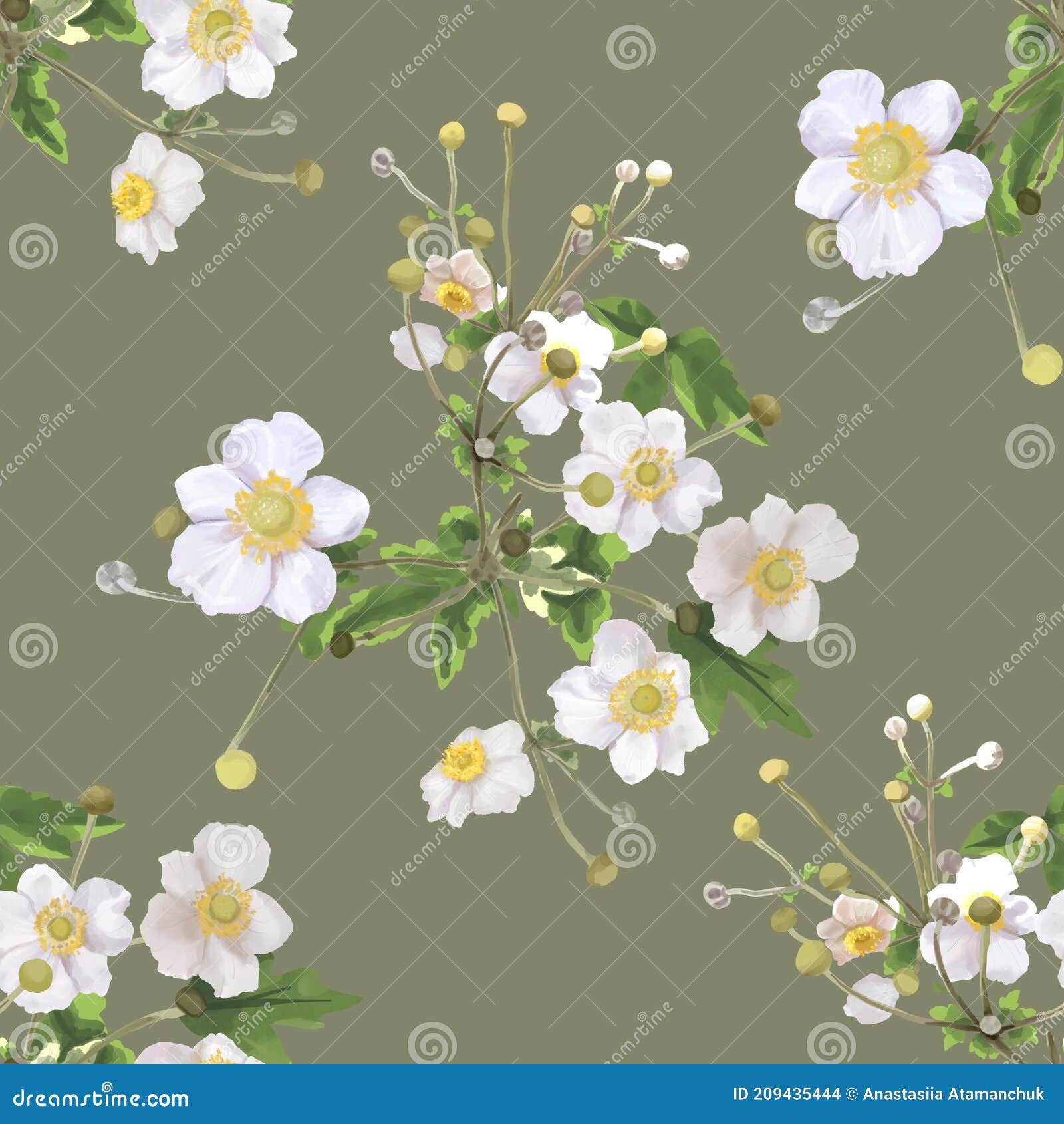 My Image 27