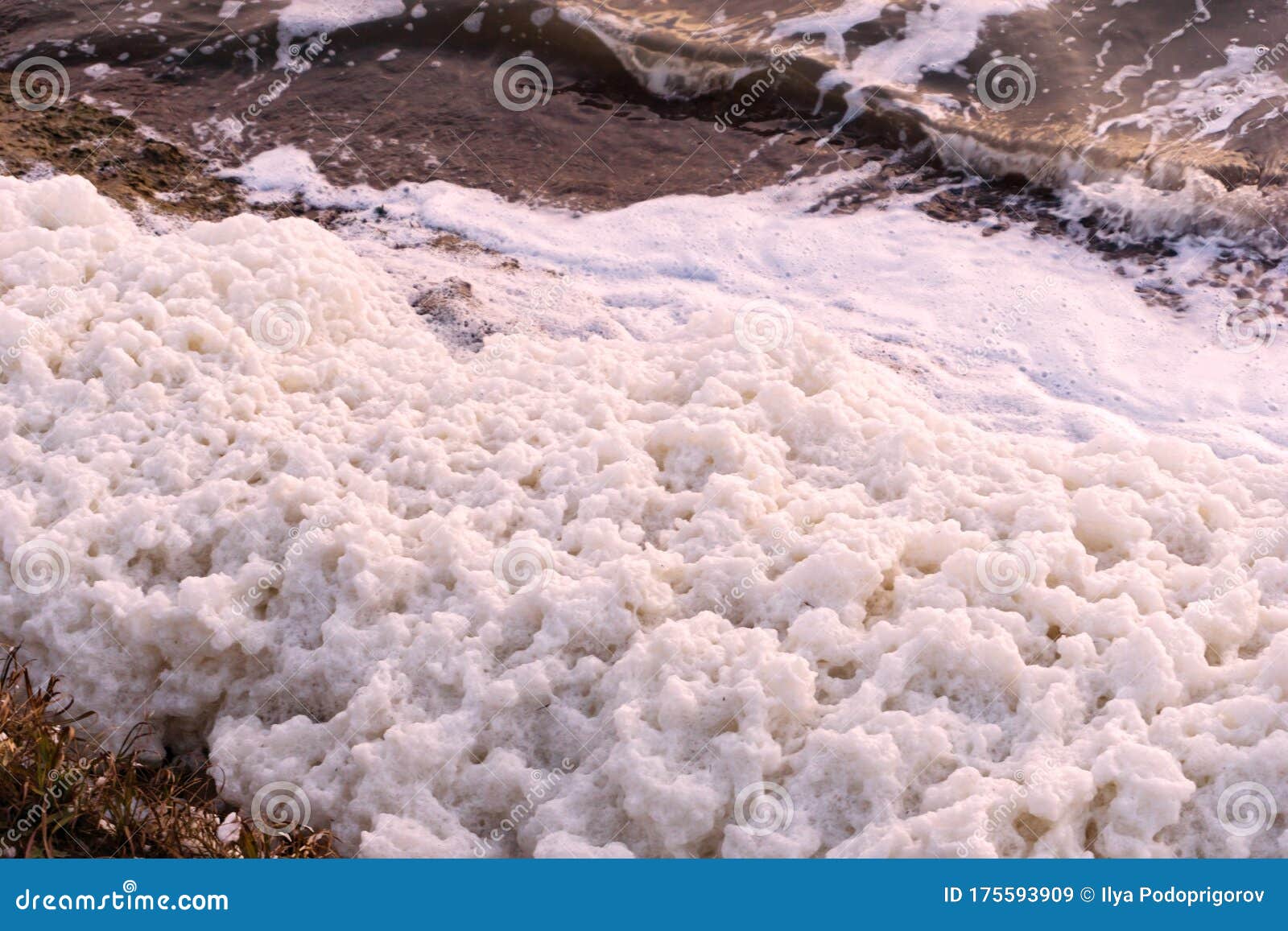 White Foam Accumulations on the Shore Near the Water Surface