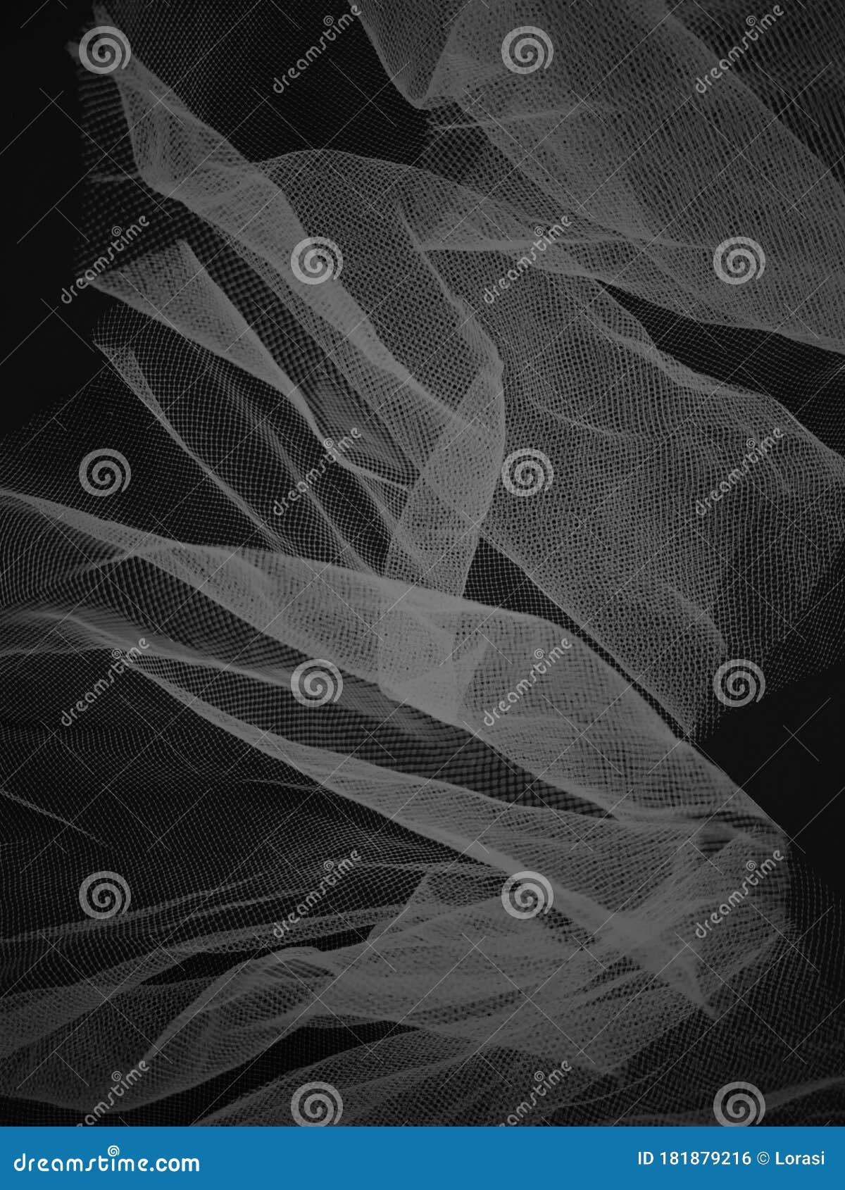 White Veil on a Black Background Stock Photo - Image of soft, texture