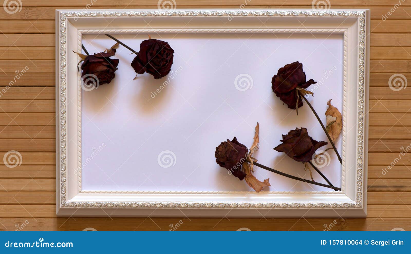 White Frame with Five Dried Red Roses and Empty White Canvas on Natural