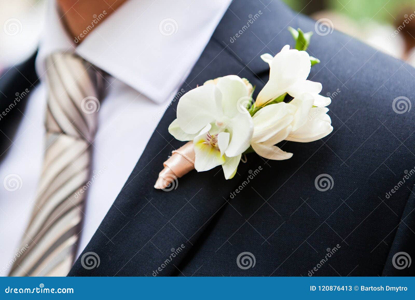 Boutonniere On The Lapel Of The Groom Stock Image Image Of Coat Macro 120876413