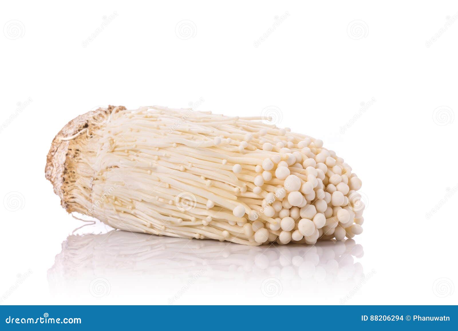 White Fresh Enoki Mushroom. Studio Shot Isolated On White Stock Photo