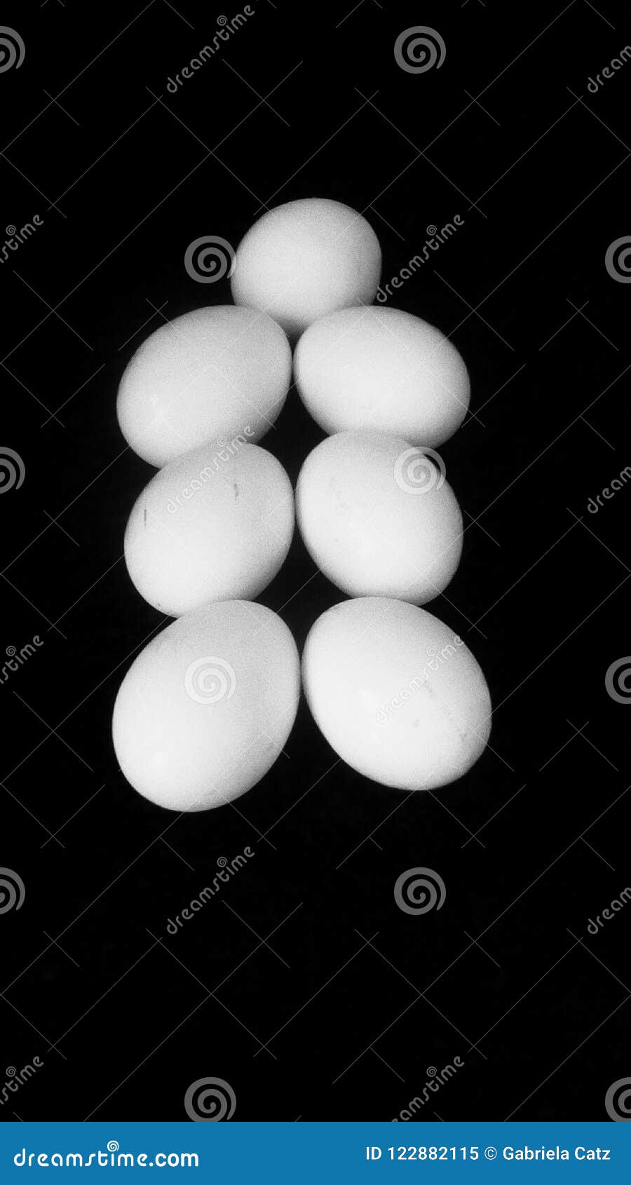 Food stock image. Image of fresh, farm, eggs, nutrition 122882115