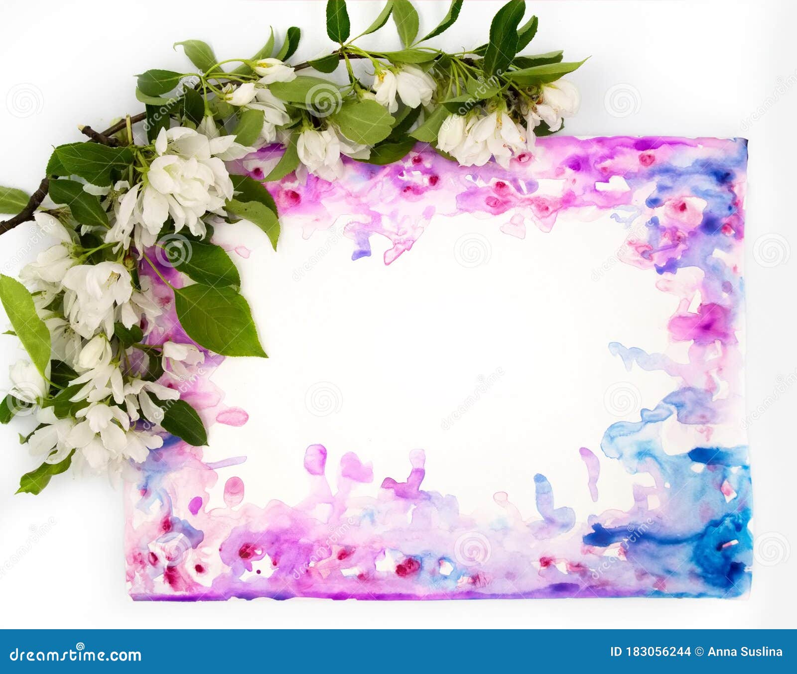 Flower Border A4 Stock Photos - Free & Royalty-Free Stock Photos from  Dreamstime