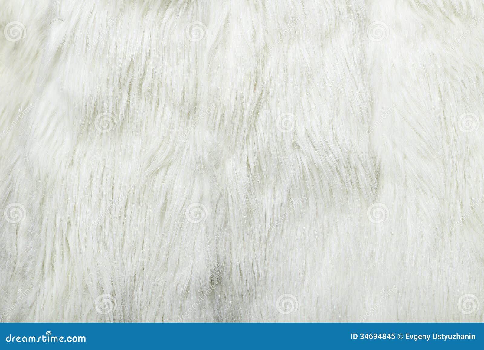 White Fur Background. Closeup Stock Image Image of skin, beautiful