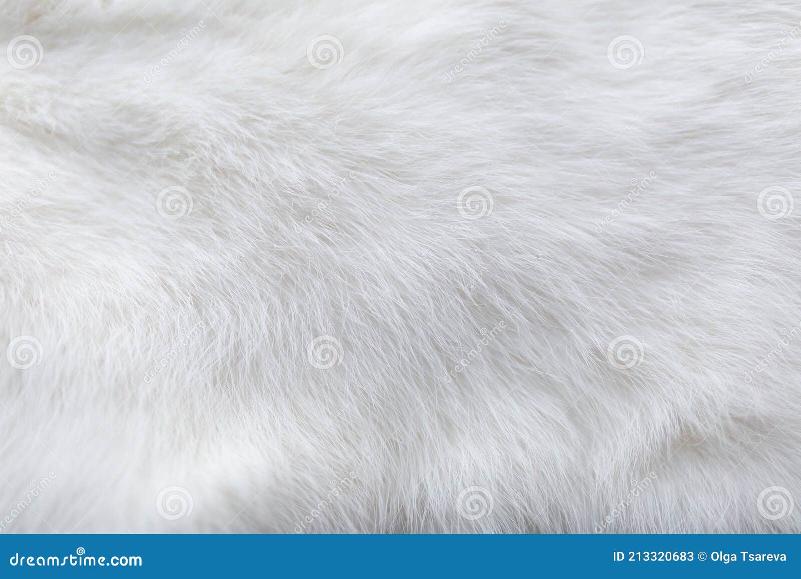 White Fur Background Texture. Fluffy Rabbit Fur Stock Image Image of