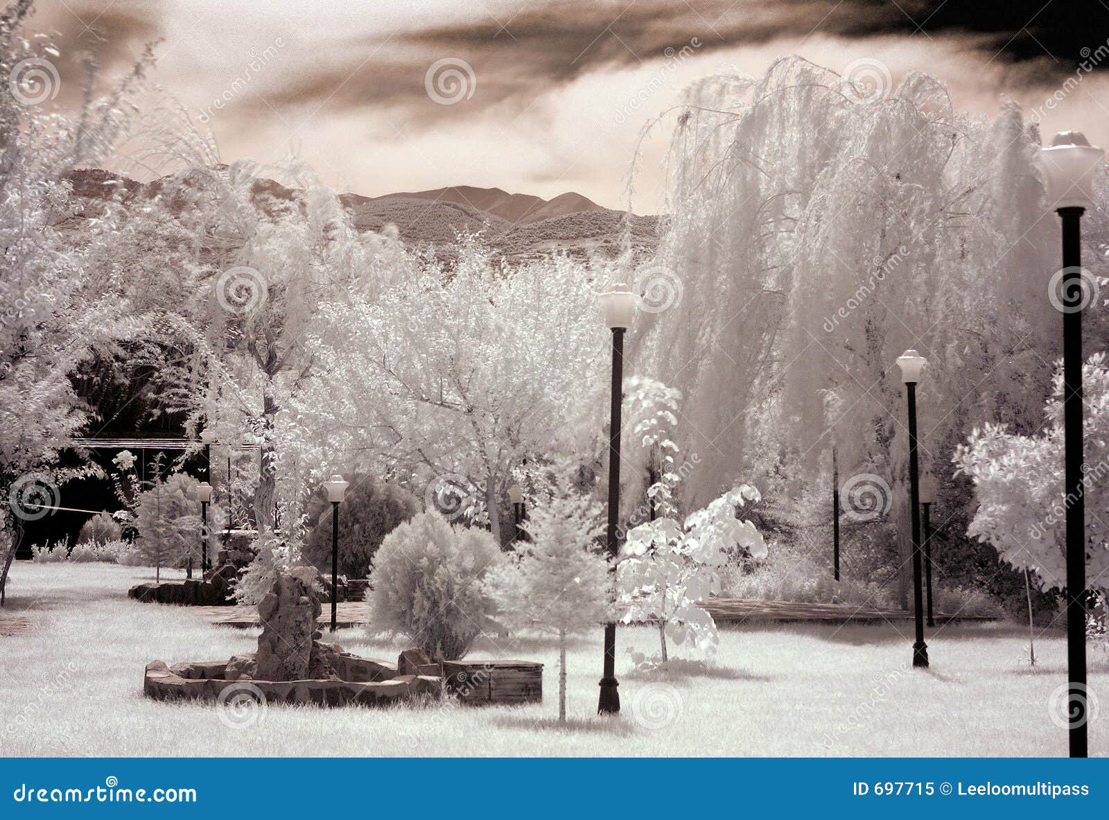 White Garden stock image. Image of infrared, grassland - 697715