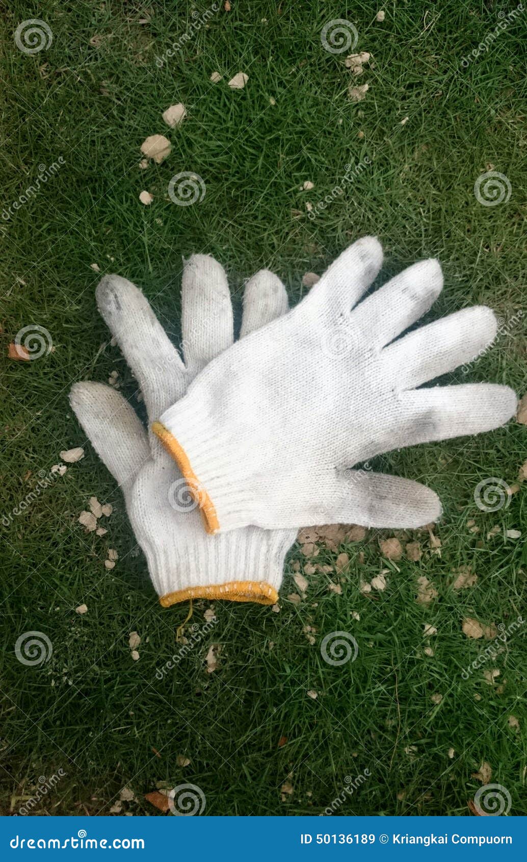 White gardening Gloves stock image. Image of grass, green 50136189