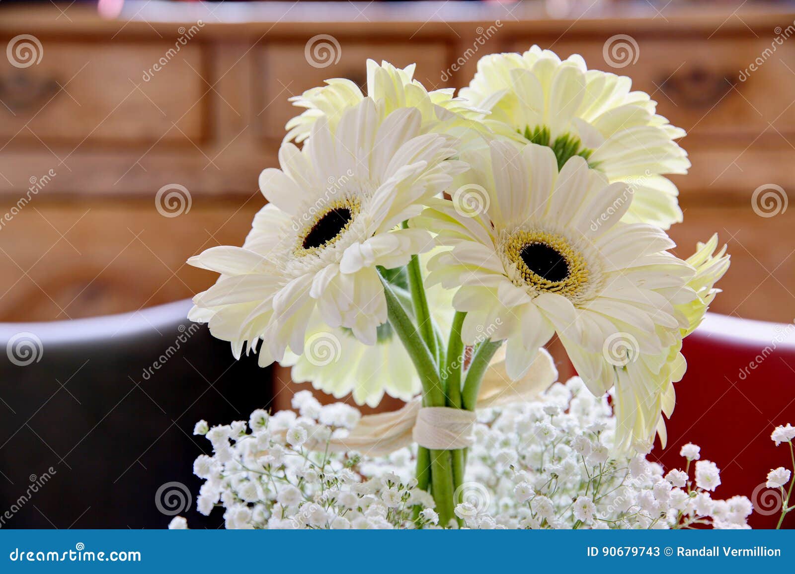 White Gerbera daisies stock image. Image of flower, season 90679743