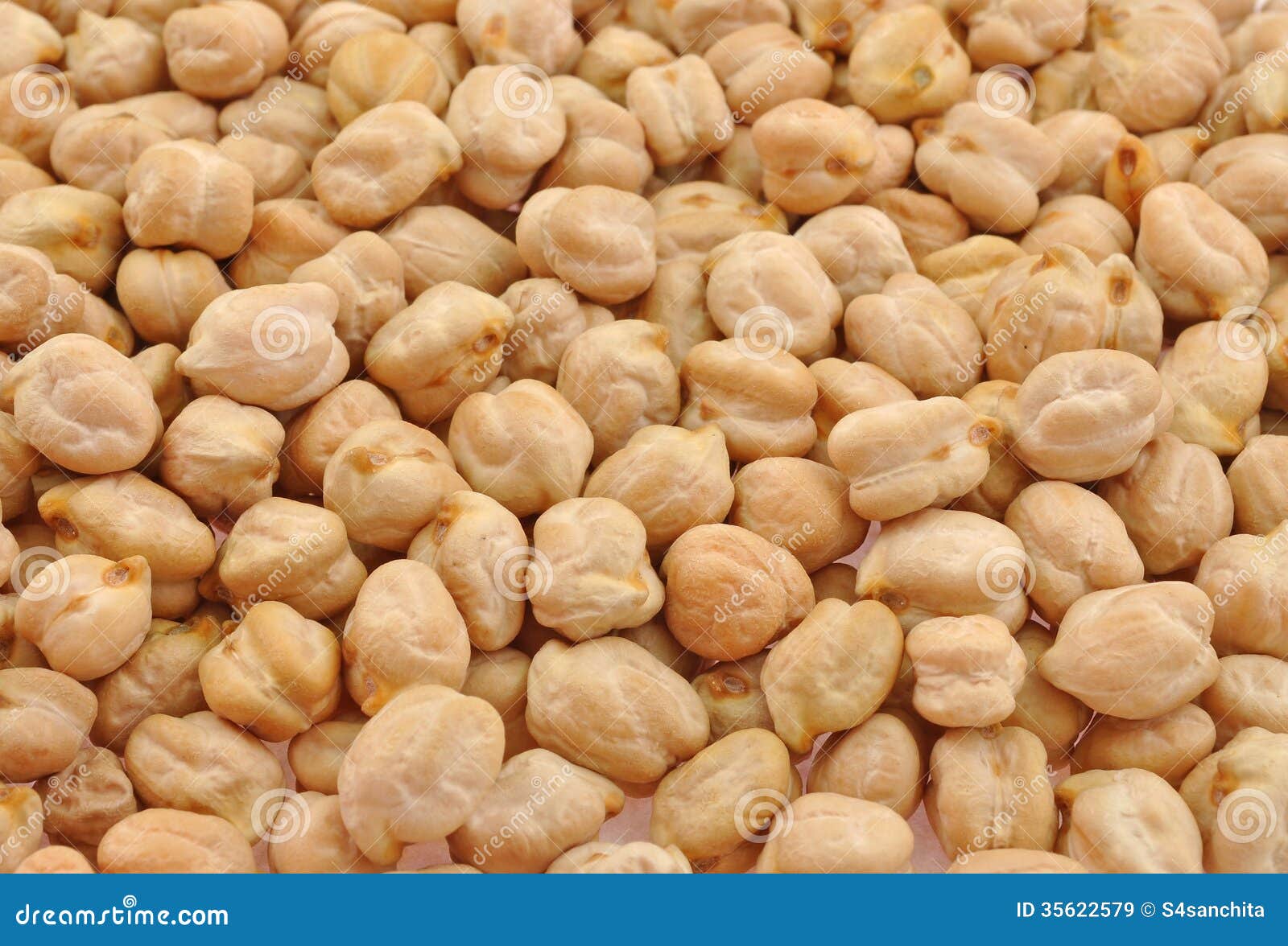 White grams stock image. Image of chana, structure, detail 35622579