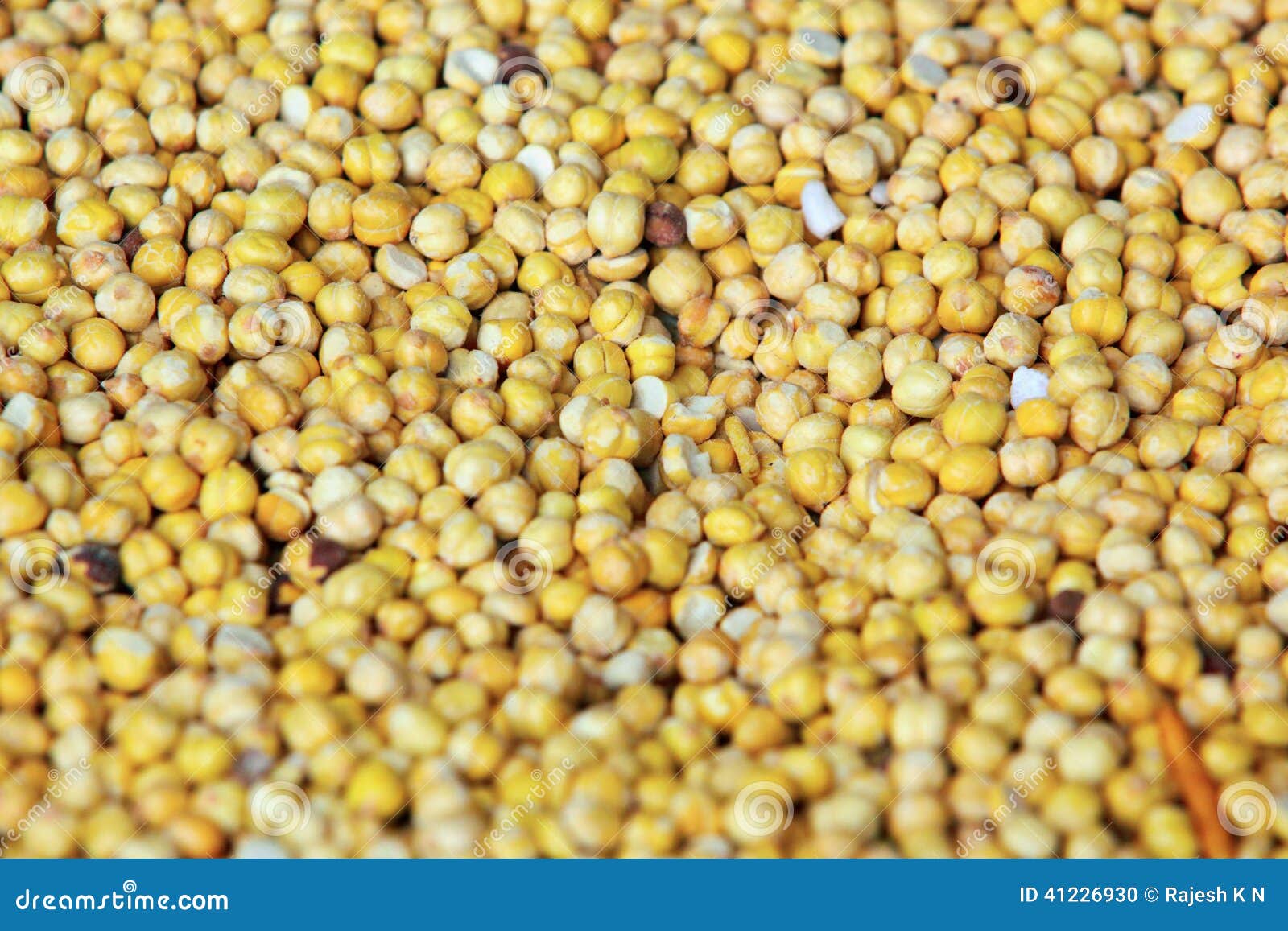 White grams stock photo. Image of crop, ceci, close, harvested 41226930