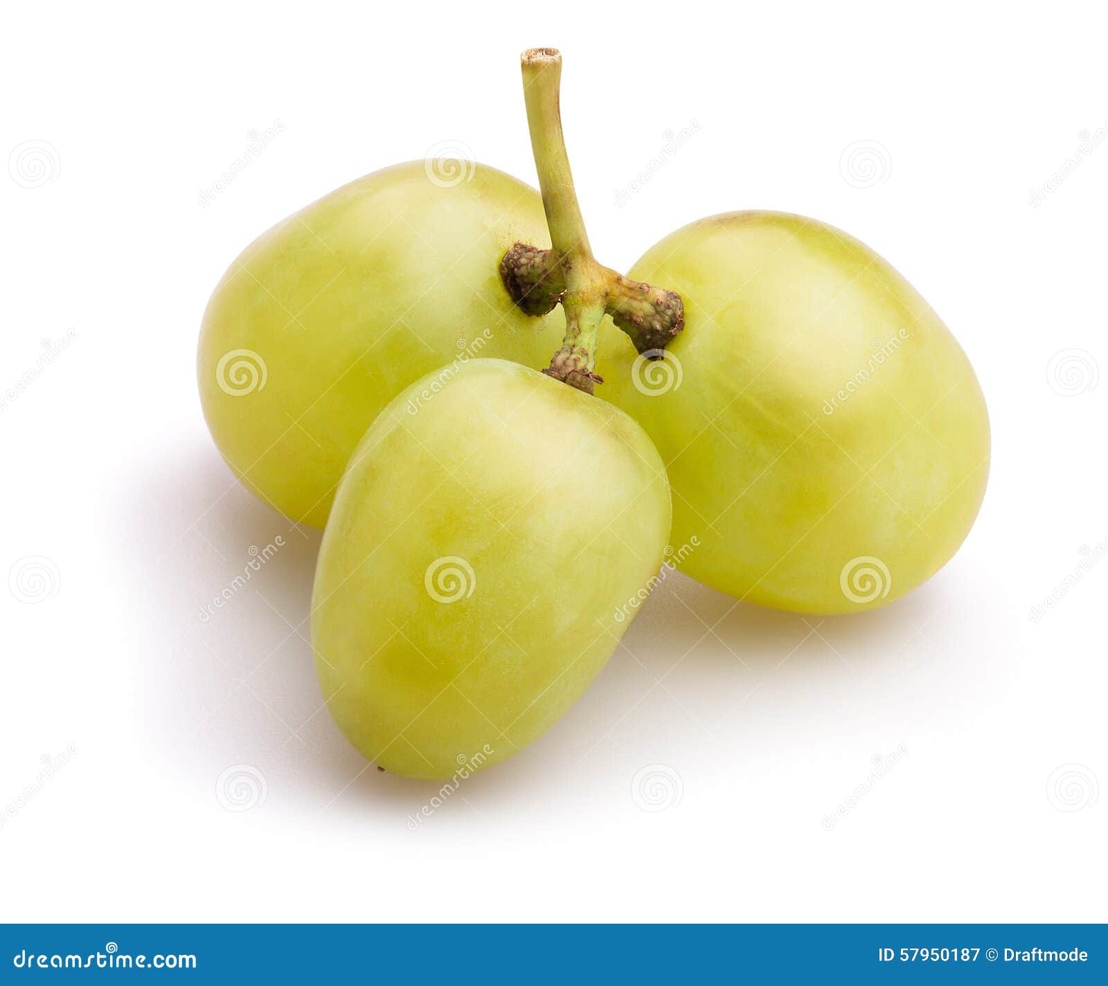 White grapes stock image. Image of delicious, winery 57950187