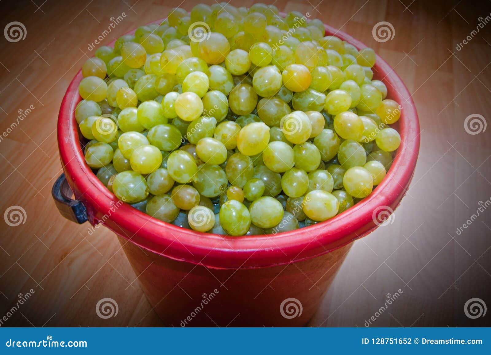 White Grapes Full Bucket for Making Wine. Stock Photo Image of leaf