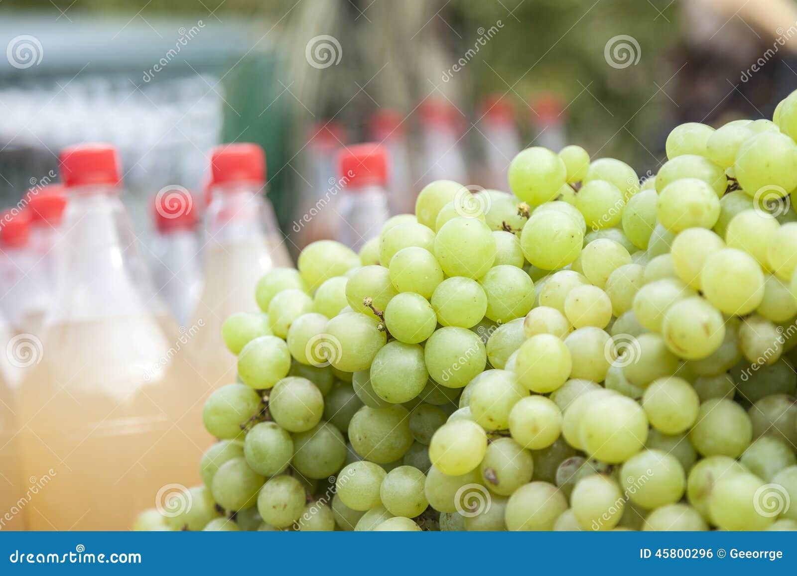 White grapes for sale stock photo. Image of land, resveratrol 45800296