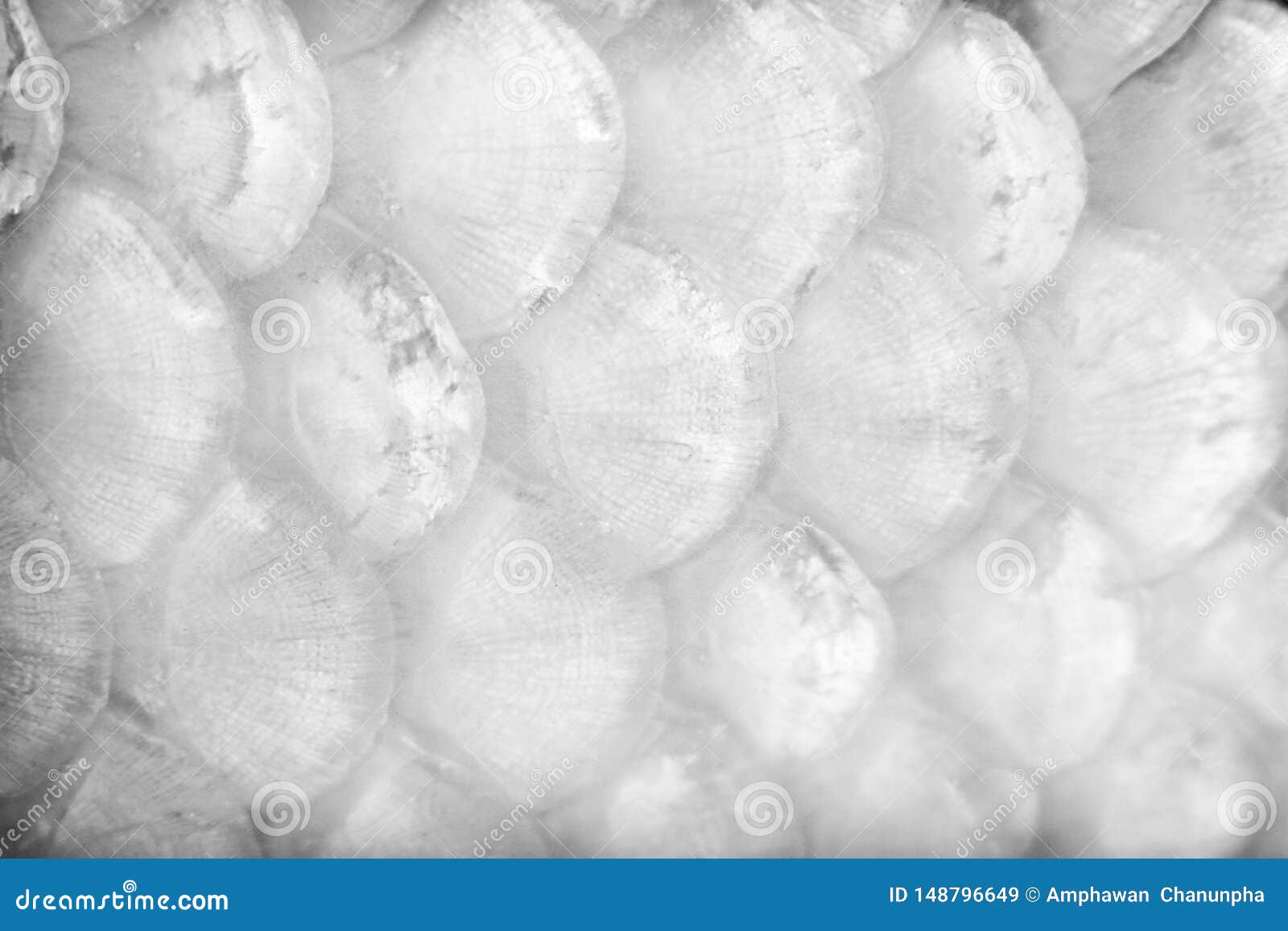 White or Gray Carp Texture or Koi Fish Scales Patterns Nature Background  Stock Image - Image of overlap, oriental: 148796649