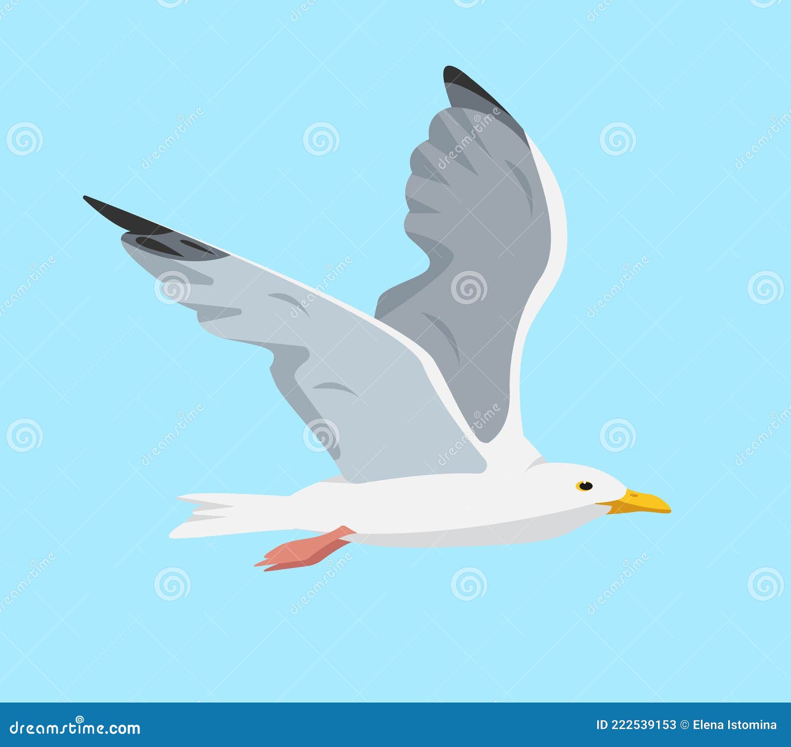 white and gray flying seagull in sky.