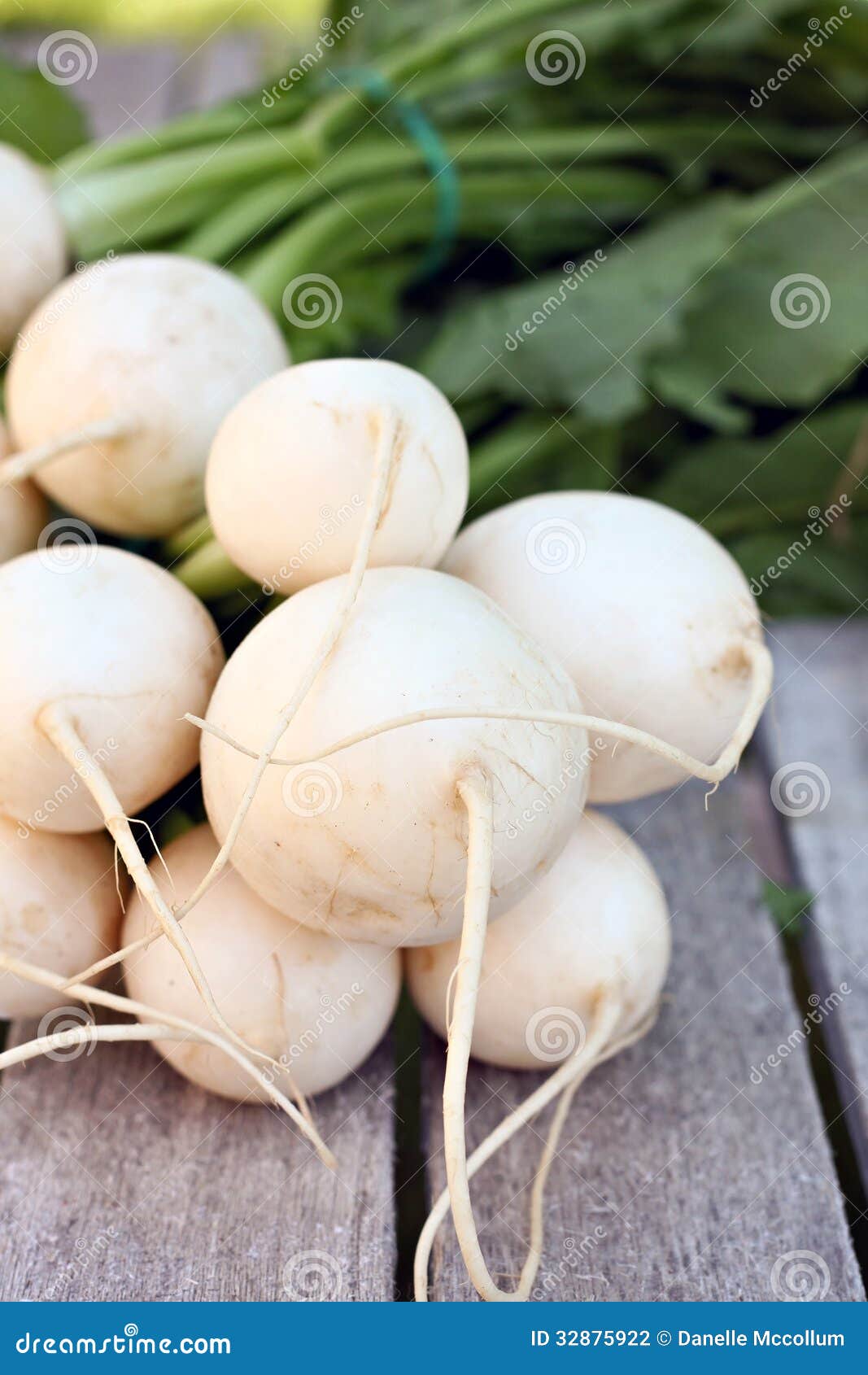 White Hakurei Turnips stock photo. Image of cook, white 32875922