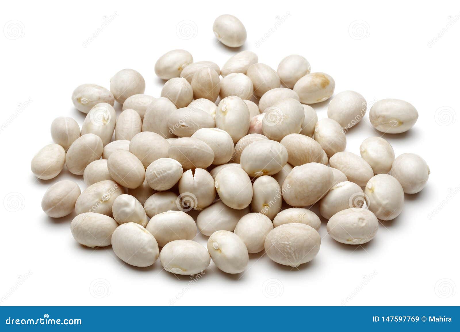 White Haricot Beans Isolated on White Stock Image Image of
