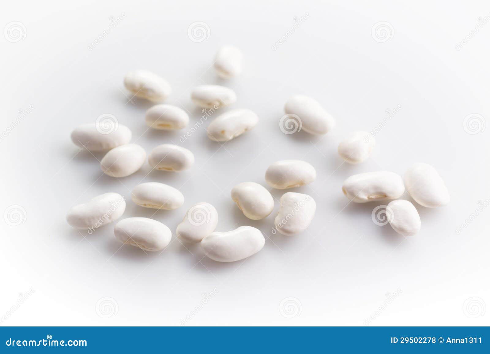 White Haricot Beans on White Background Stock Photo Image of isolated