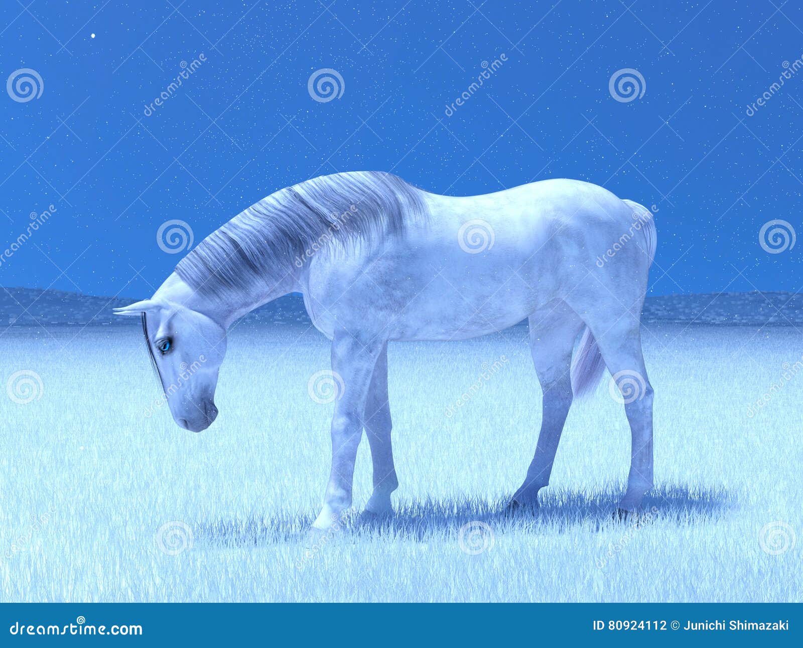 White horse stock photo. Image of white, fantastic, horseback 80924112
