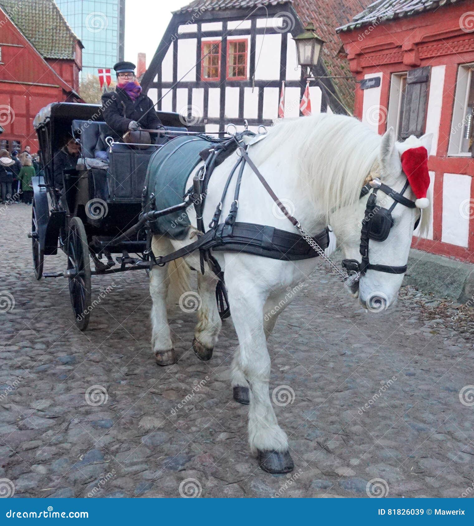 afstemning højttaler Bør White horse editorial stock image. Image of denmark, stone - 81826039