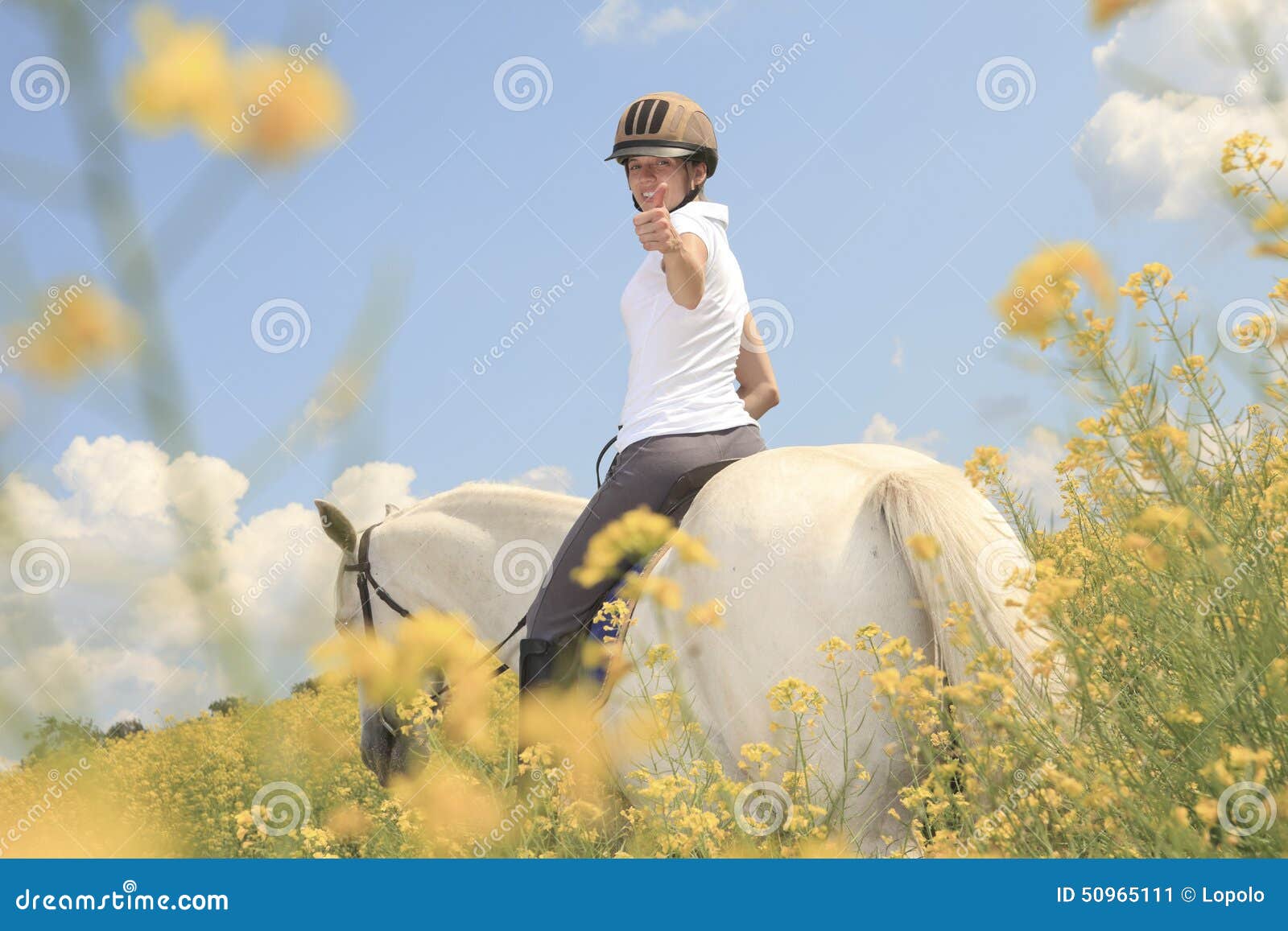a white horse on yellow flower field with a rider